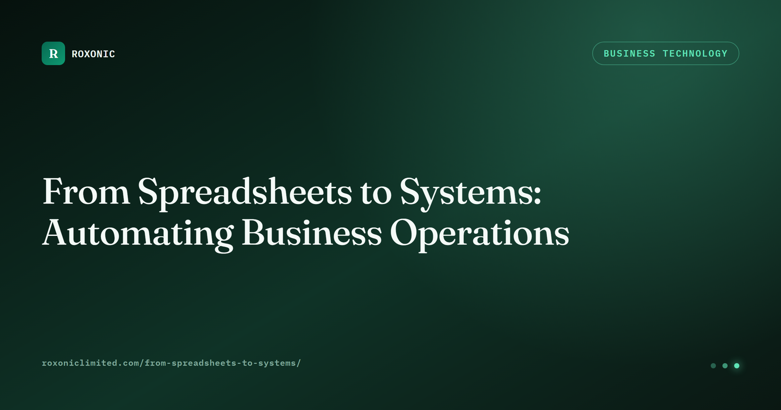 From Spreadsheets to Systems — Roxonic